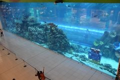 dubai2301