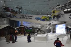 dubai2582