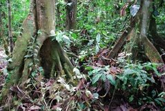 ecuador2102
