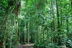 ecuador2105