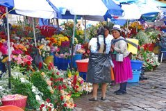 ecuador3790