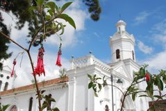ecuador3809