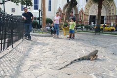 ecuador4284