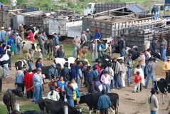 ecuador4508