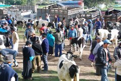 ecuador4513