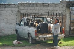 ecuador4535