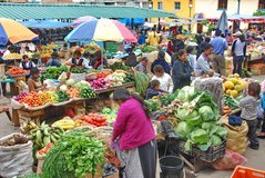 ecuador4544