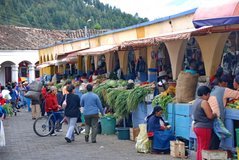 ecuador4553
