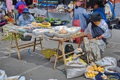 ecuador4574