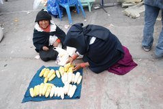 ecuador4587