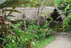 ecuador5010