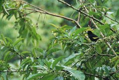 ecuador5013