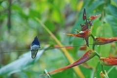 ecuador5015