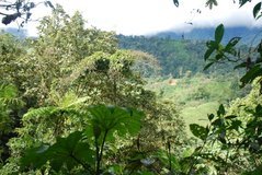ecuador5022
