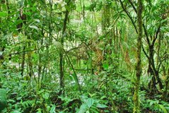 ecuador5030