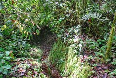 ecuador5032