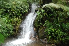 ecuador5040