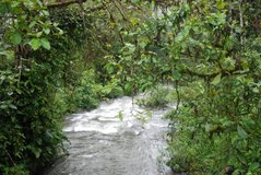 ecuador5042