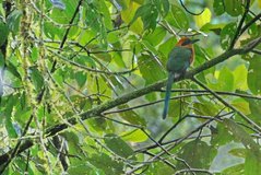 ecuador5049
