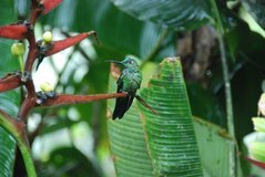 ecuador5052