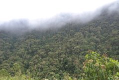 ecuador5055