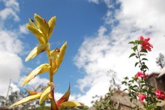 ecuador6030