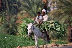 egypte2620