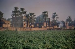 egypte2621