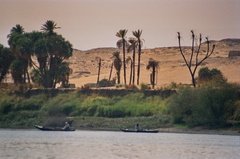 egypte2671