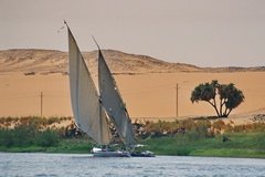 egypte2673
