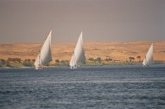 egypte2676