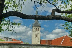 estland1003