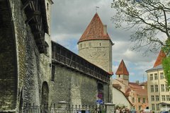 estland1028