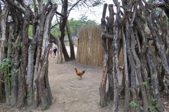 eswatini5006