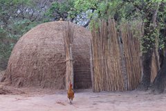 eswatini5012