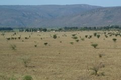 eswatini6011