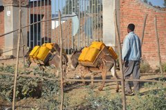ethiopie0510