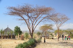 ethiopie0513