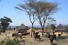 ethiopie0514
