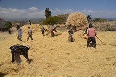 ethiopie0516