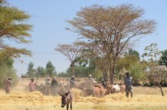 ethiopie0519