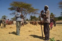 ethiopie0520