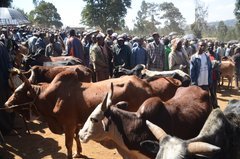 ethiopie0522
