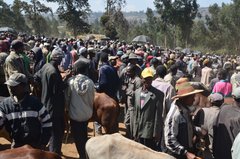 ethiopie0524