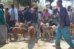 ethiopie0526