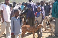 ethiopie0527