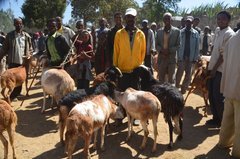 ethiopie0528