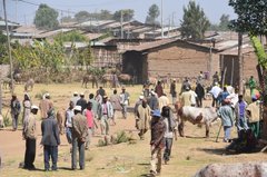 ethiopie0529