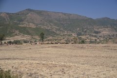 ethiopie0530