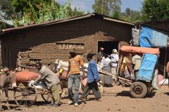 ethiopie0533